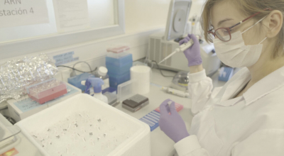 La Udelar abre convocatoria de vinculación entre becarios de posgrado y sector productivo