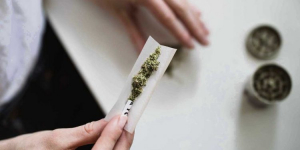"Especialistas advierten sobre el peligro del consumo de marihuana a nivel físico y psicológico"
