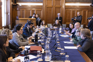 "La comisión bicameral de seguimiento de la salud mental recibió a las dos primeras delegaciones"
