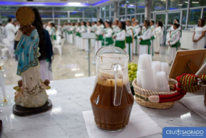 "Estudio divulgado por la Junta Nacional de Drogas y la Facultad de Psicología plantea un “creciente uso” ritual de la ayahuasca en Uruguay"