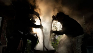 "Estudio advierte un "creciente uso ritual" de la ayahuasca en Uruguay