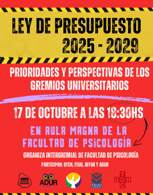 Ley de Presupuesto 2025 - 2029. Prioridades y perspectivas de los gremios universitarios