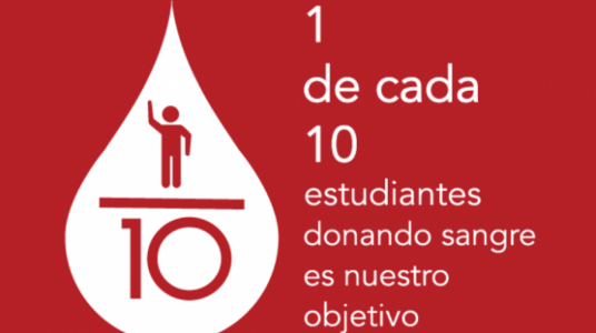 1 de cada 10 personas internadas en el Hospital de Clínicas necesita transfusiones de sangre
