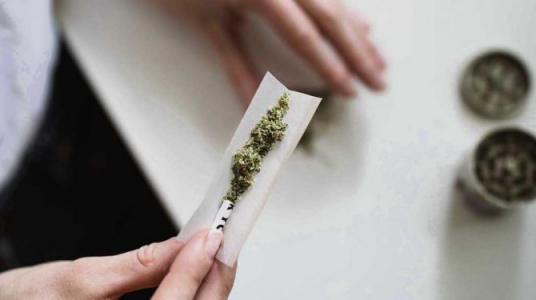 "Especialistas advierten sobre el peligro del consumo de marihuana a nivel físico y psicológico"