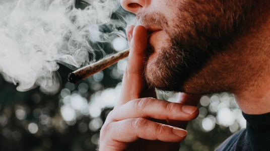 "Salud mental: un investigador uruguayo estudia los vínculos entre el consumo de marihuana y la psicosis"