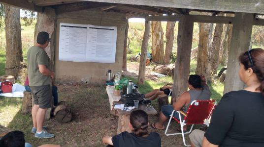 "Bases de datos de organismos públicos evidencian subregistro de denuncias de trabajadores del arroz vinculadas a agroquímicos temática:"