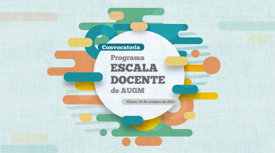 Programa Escala Docente 2025