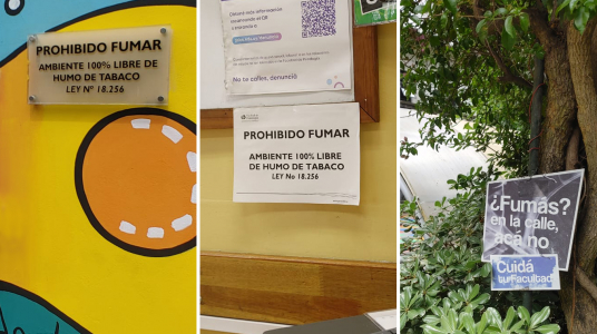 Inspección del Ministerio de Salud Pública valoró positivamente acciones antitabaco en la Facultad