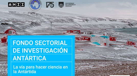 Convocatoria: Fondo Sectorial de Investigación Antártica