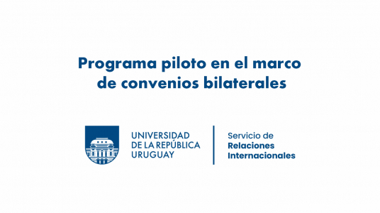 Convocatoria de movilidad de grado: Programa piloto en el marco de convenios bilaterales