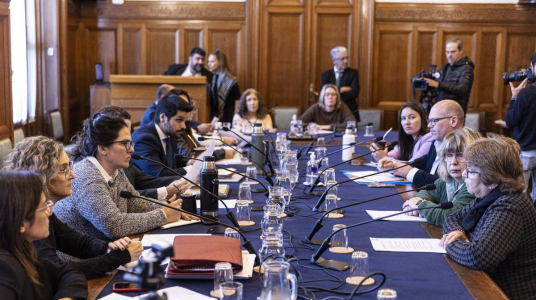 "La comisión bicameral de seguimiento de la salud mental recibió a las dos primeras delegaciones"