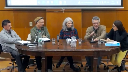 Mesa redonda “Nuevos horizontes de la ciudadanía: derechos y prácticas sociales disruptivas a la racionalidad moderna”