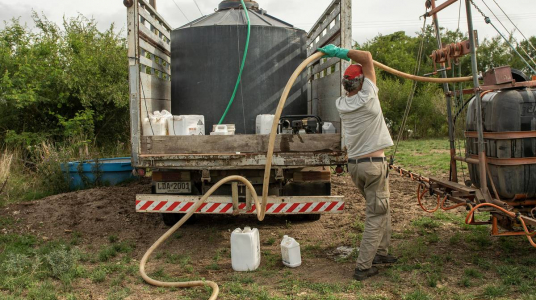 Aplicación de herbicidas en un campo con alfalfa, en Colonia (archivo, enero de 2025).  Foto: Ignacio Dotti
