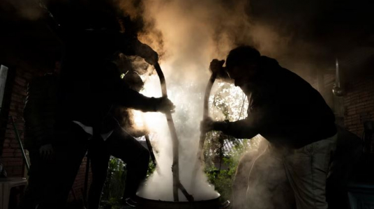 "Estudio advierte un "creciente uso ritual" de la ayahuasca en Uruguay