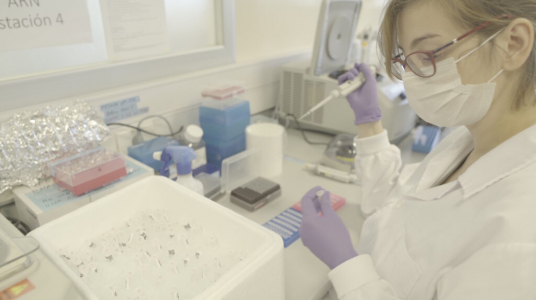 La Udelar abre convocatoria de vinculación entre becarios de posgrado y sector productivo