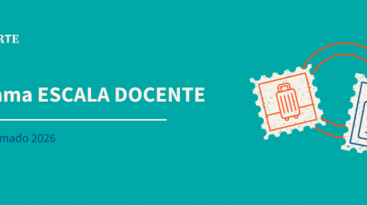 escala docente complementario