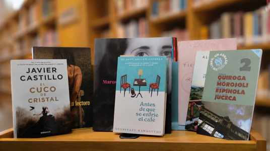 Resultados de la encuesta “Proyectando una colección recreativa para la Biblioteca”