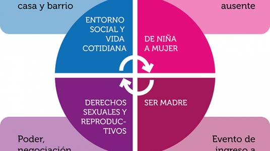 Gráfico del artículo