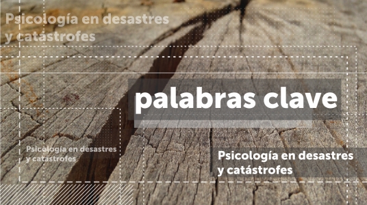 Palabras Clave: Psicología en desastres y catástrofes