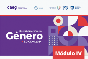 afiche de difusión de la actividad