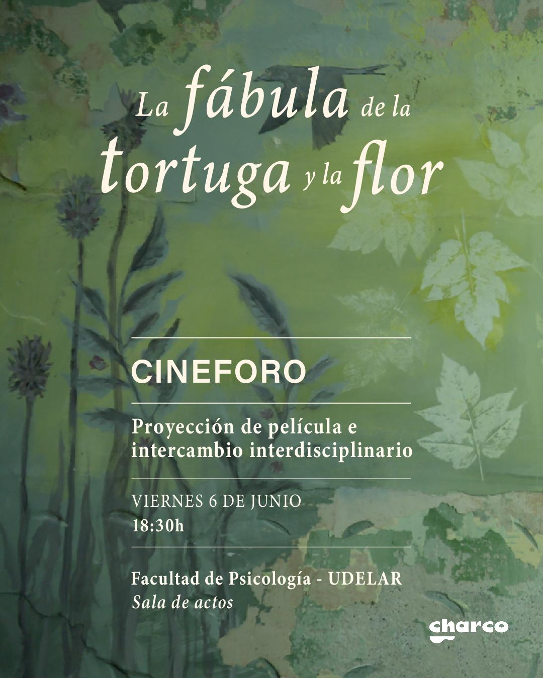 afiche de difusión de la actividad