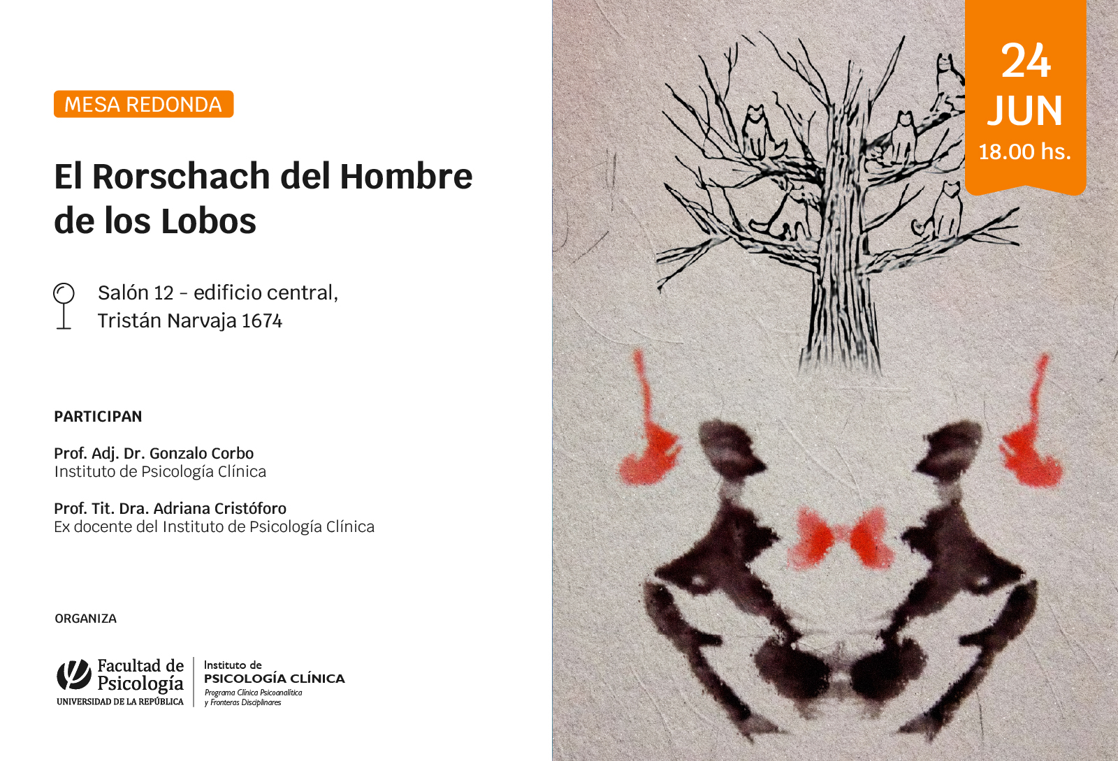 afiche de difusión de la actividad