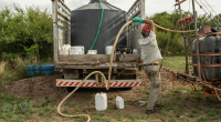 Aplicación de herbicidas en un campo con alfalfa, en Colonia (archivo, enero de 2025).  Foto: Ignacio Dotti