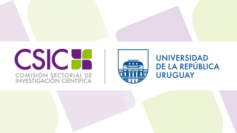 CSIC financiará 10 proyectos I+D presentados por representantes de la Facultad de Psicología