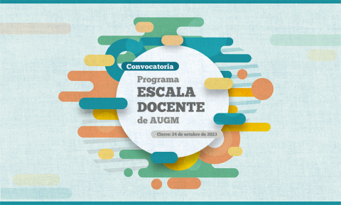 Programa Escala Docente 2025