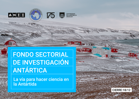 Convocatoria: Fondo Sectorial de Investigación Antártica