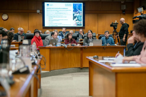 Recursos para la Udelar: Rendición de Cuentas se trata en la Cámara de Representantes
