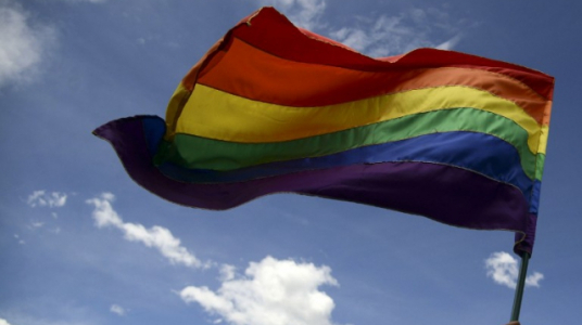 "Encuesta para estudiar los vínculos familiares de las personas LGBT"